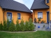 Foto07.jpg